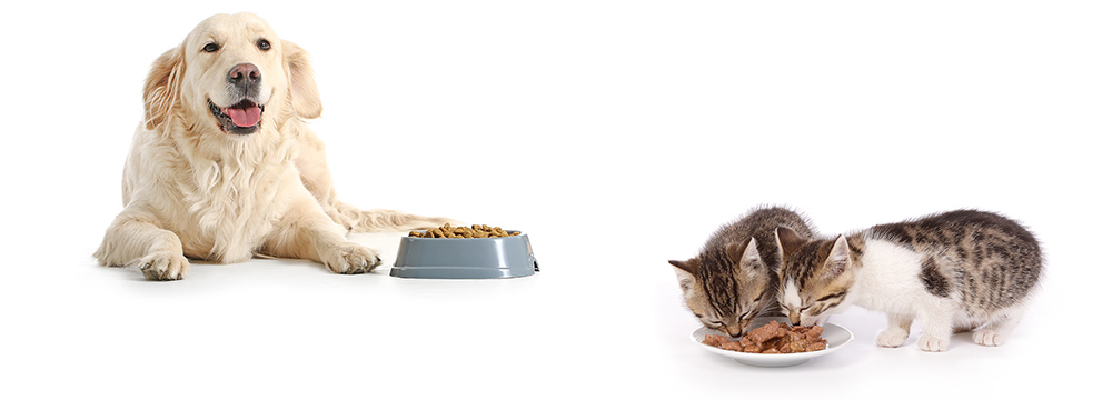 Hunde- und Katzenfutter