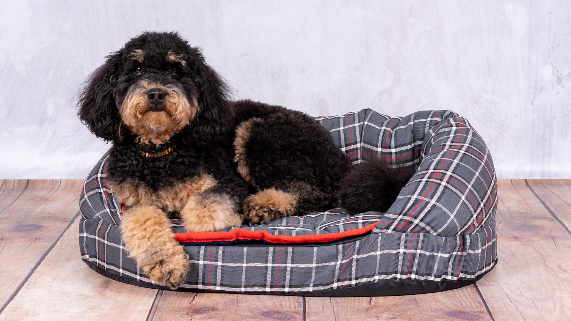 Piccolinas Fellnasen